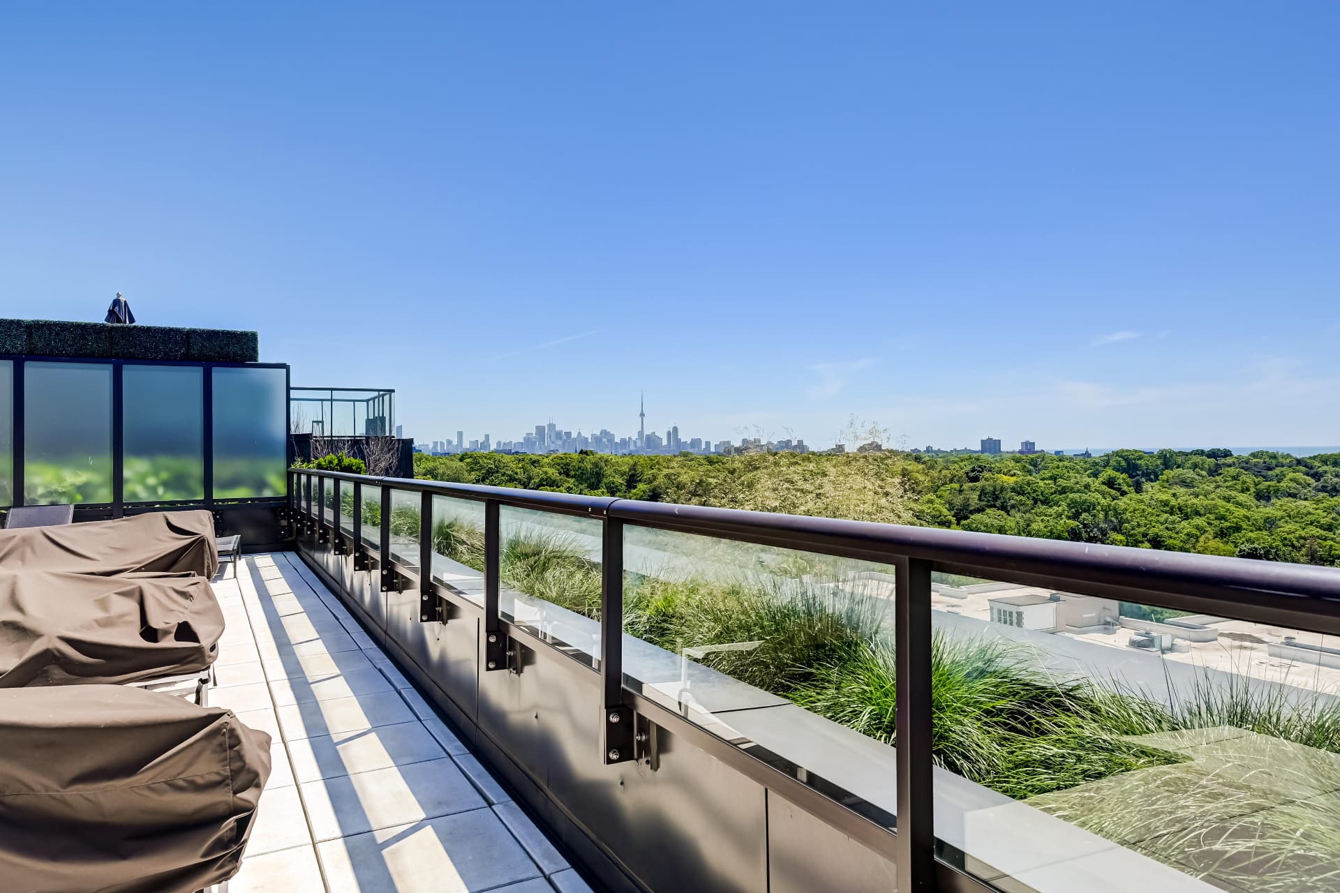 Rooftop terrace looking over High Park toward the CN Tower