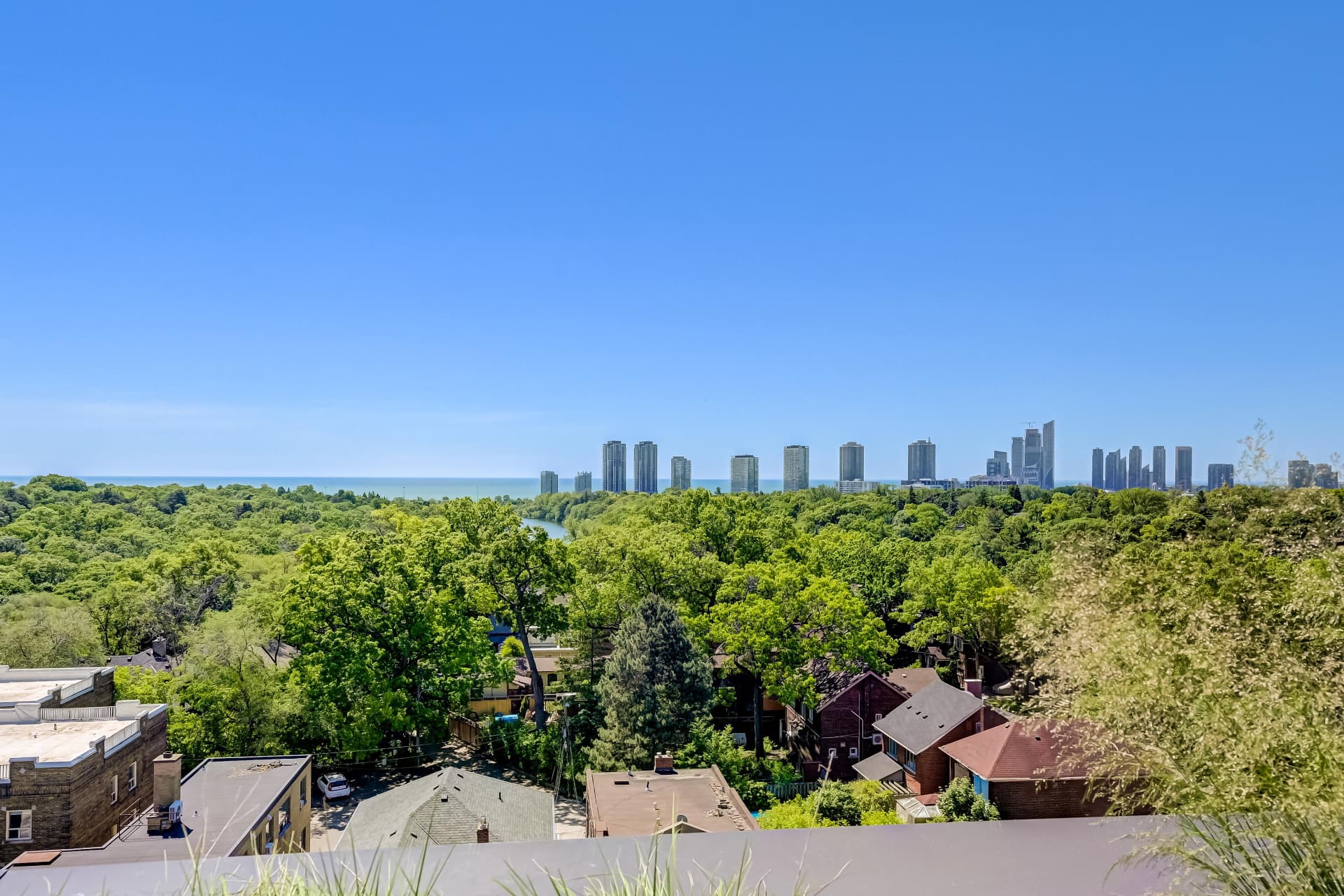 Treetop view over High Park to Lake Ontario and Grenadier Pond