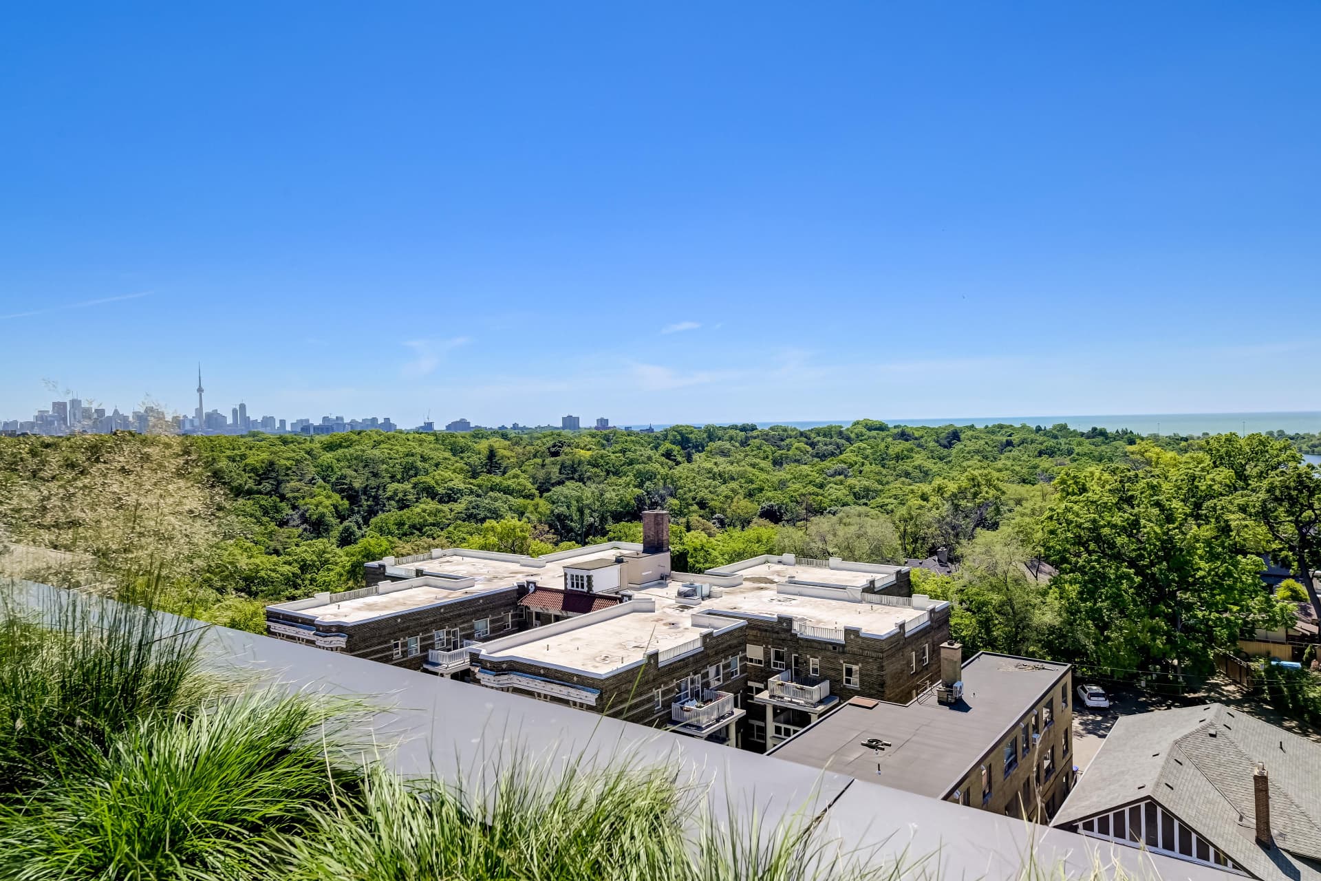 Panoramic view of High Park, the lake and the city skyline